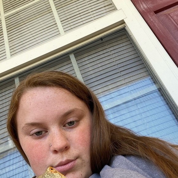 Meet your Posher, Kaydence - Picture 1 of 1